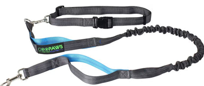 Jespet Bungee Reflective Standard Dog Leash, Blue