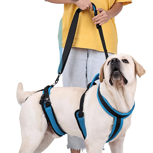 Dog Lift Harness Dog Protective Gear Auxiliary Pet Leash Elderly Dog Support Sling Lifter Disabled Dog Walking Auxiliary Belt