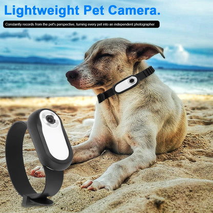 HD 1080P Dog Tracker Collar No WiFi Needed Dog Cat Pet Camera Collar Pet Sport Camera with 32G Card for Cats Dogs Birthday Gift