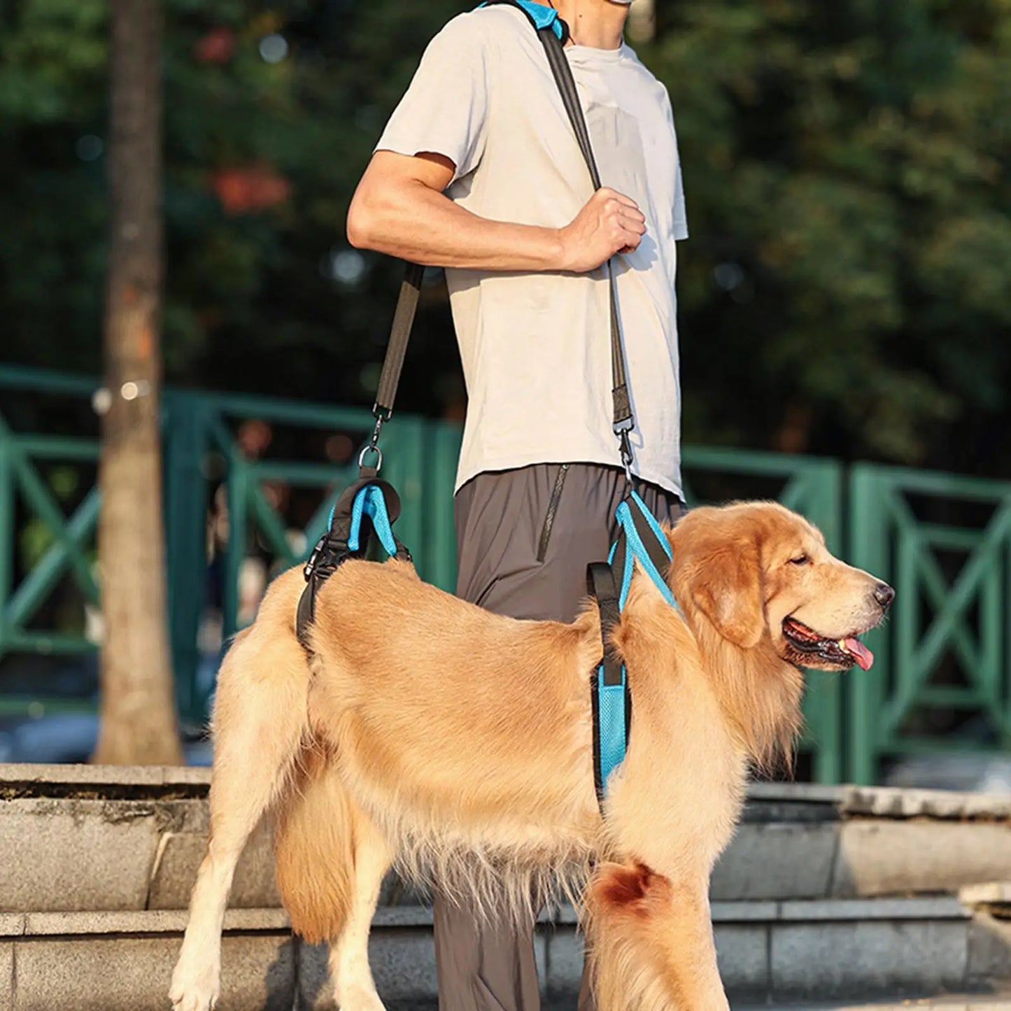 Dog Lift Harness Dog Protective Gear Auxiliary Pet Leash Elderly Dog Support Sling Lifter Disabled Dog Walking Auxiliary Belt